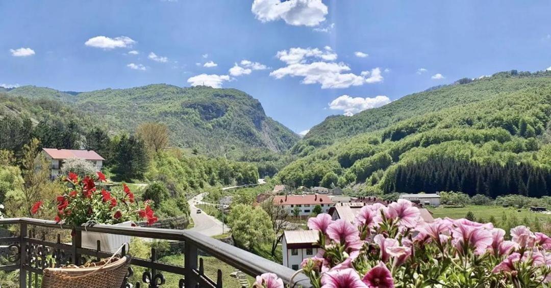 Hotel Djokovic Savnik Eksteriør bilde